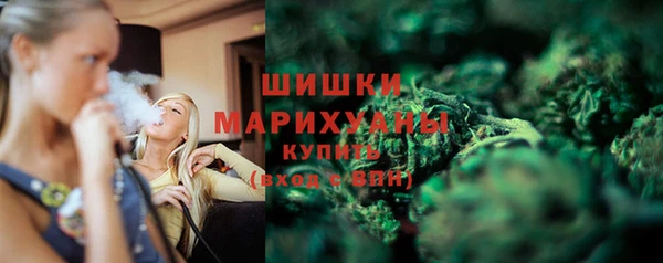 mdpv Новозыбков