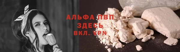 2c-b Новокубанск