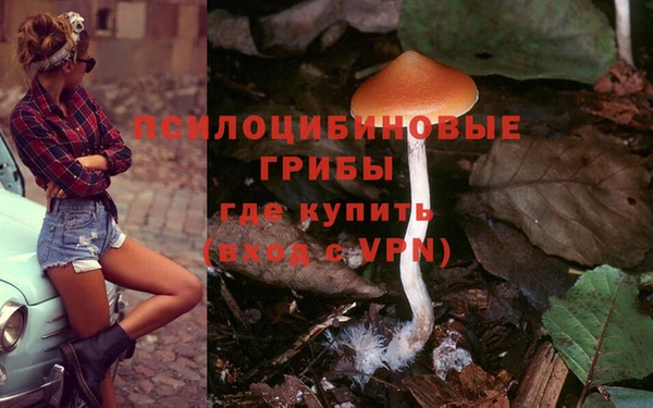 прущая мука Нязепетровск