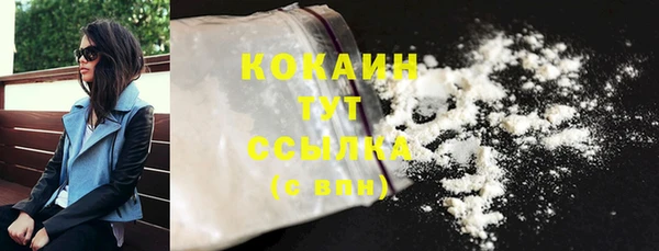 mdpv Новозыбков