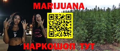 сатива Заволжье