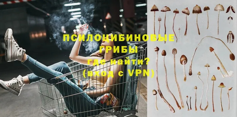 Галлюциногенные грибы GOLDEN TEACHER  Касимов 