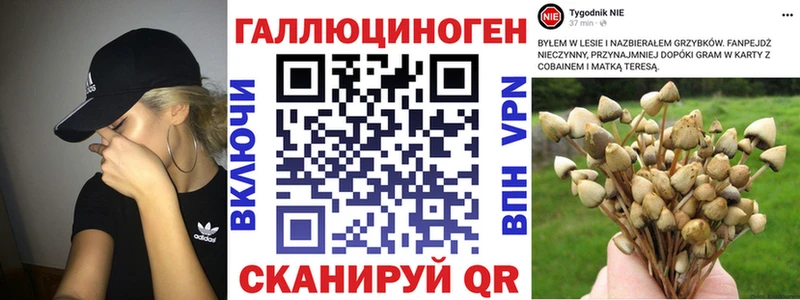 Псилоцибиновые грибы GOLDEN TEACHER  Касимов 