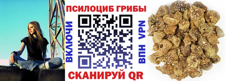 Галлюциногенные грибы Cubensis Касимов