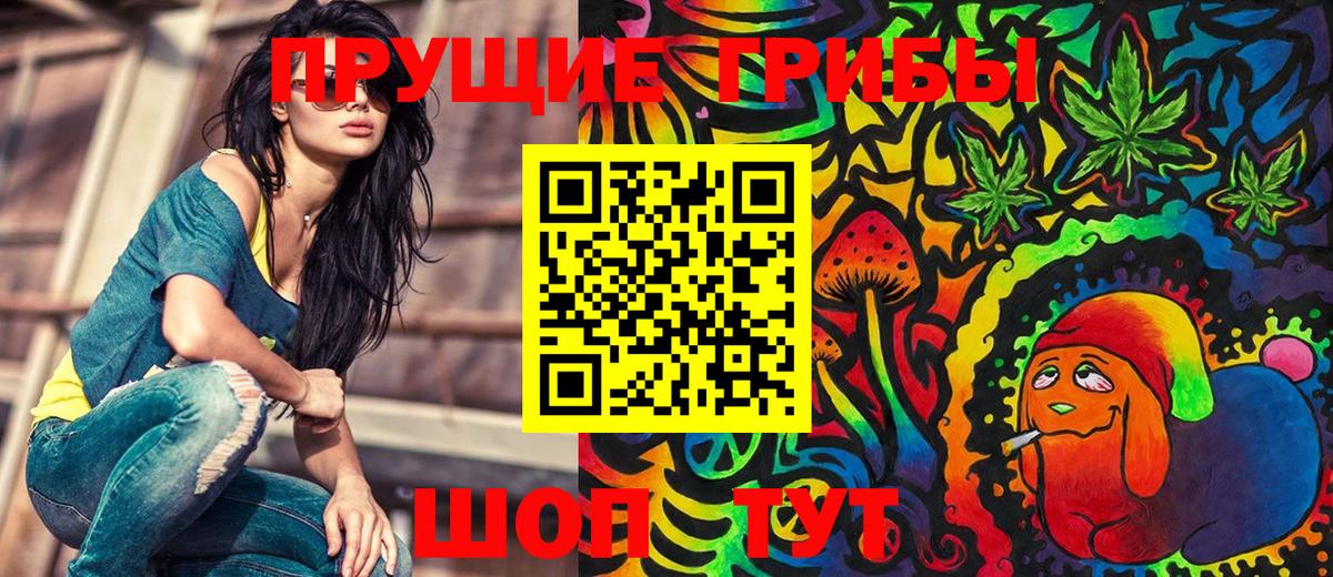 Касимов  Псилоцибиновые грибы Psilocybe  Вход с VPN 